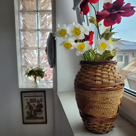 Vila Liz Pensionat 3*