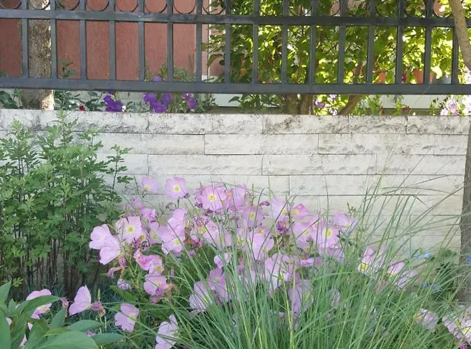 Vila Liz Pensionat Eforie Nord