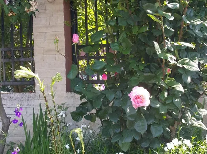 Vila Liz Pensionat 3*