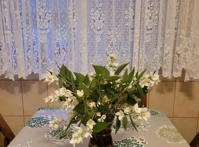 Pensionat Vila Liz 3*