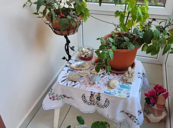 Vila Liz Pensionat 3*