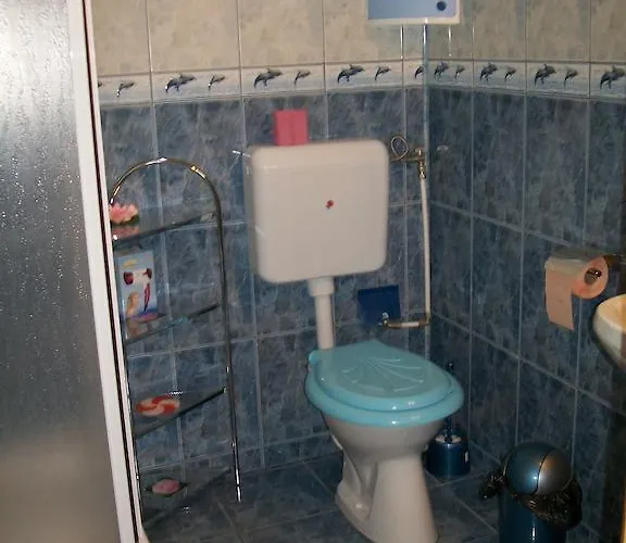 Pensionat Vila Liz Eforie Nord