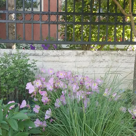 Vila Liz بيت ضيافة إيفوري نورد