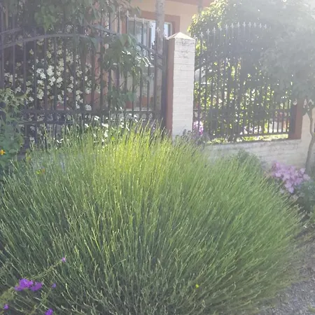 Guest house Vila Liz