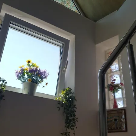 Vila Liz Guest house 3*