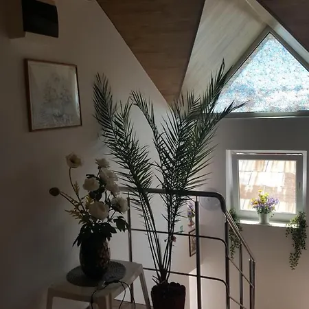 Vila Liz 3* إيفوري نورد