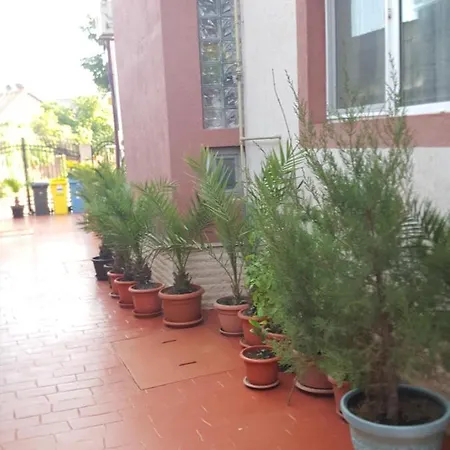 Vila Liz Guest house Eforie Nord