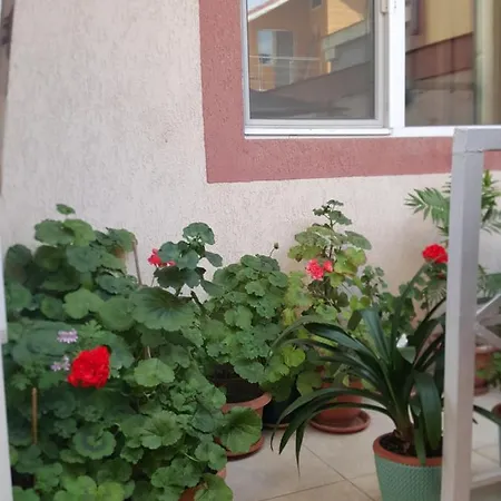 Vila Liz 3*