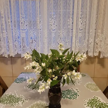 بيت ضيافة Vila Liz 3*