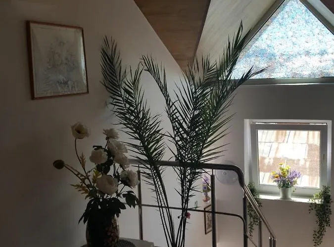 Vila Liz 3* Эфорие Норд