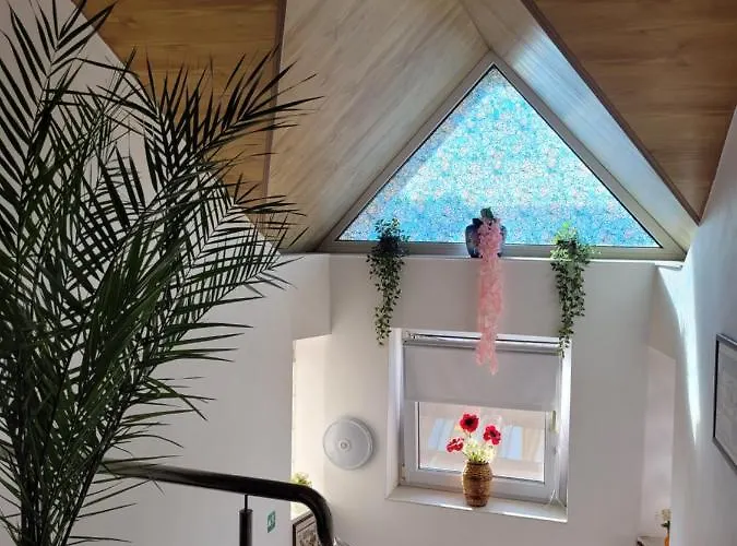 Vila Liz 3* Эфорие Норд